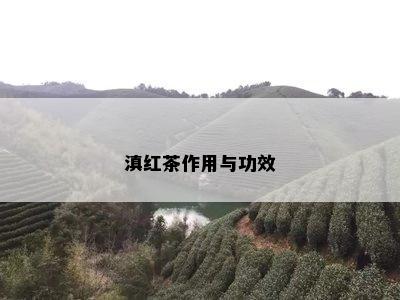 滇红茶作用与功效