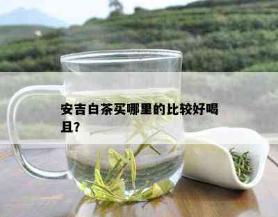 安吉白茶买哪里的比较好喝且？