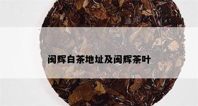 闽辉白茶地址及闽辉茶叶