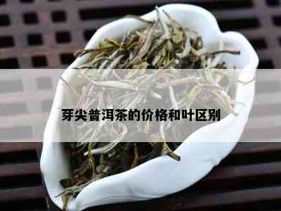 芽尖普洱茶的价格和叶区别