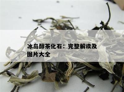 冰岛醇茶化石：完整解读及图片大全