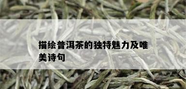 描绘普洱茶的独特魅力及唯美诗句