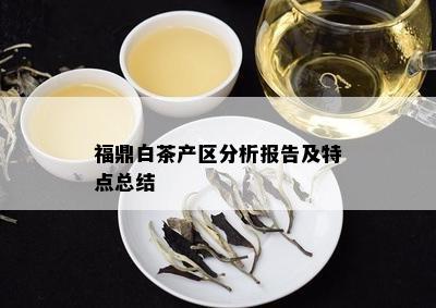 福鼎白茶产区分析报告及特点总结