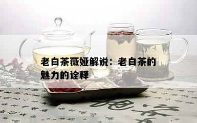 老白茶薇娅解说：老白茶的魅力的诠释