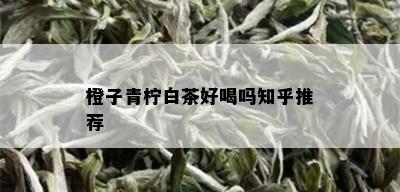 橙子青柠白茶好喝吗知乎推荐