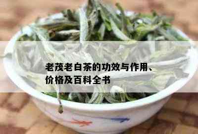 老茂老白茶的功效与作用、价格及百科全书