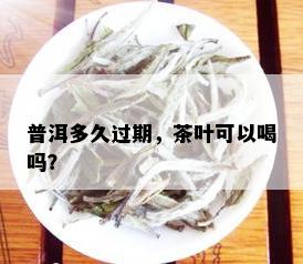 普洱多久过期，茶叶可以喝吗？