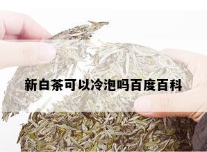 新白茶可以冷泡吗百度百科