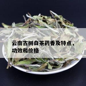 云南古树白茶香及特点，功效和价格