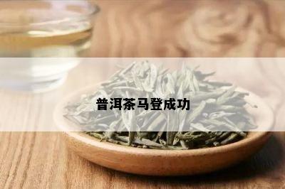 普洱茶马登成功