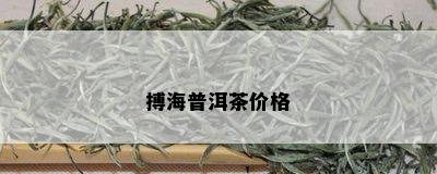 搏海普洱茶价格