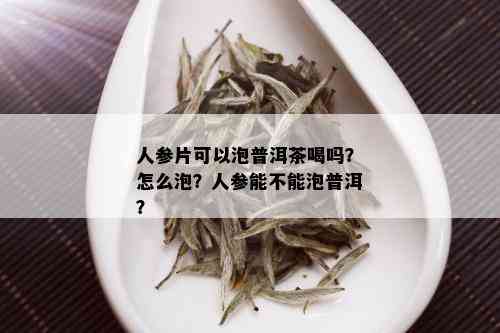 人参片可以泡普洱茶喝吗？怎么泡？人参能不能泡普洱？