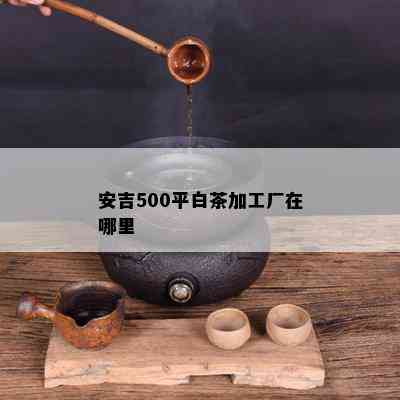 安吉500平白茶加工厂在哪里