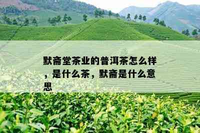 默斋堂茶业的普洱茶怎么样，是什么茶，默斋是什么意思