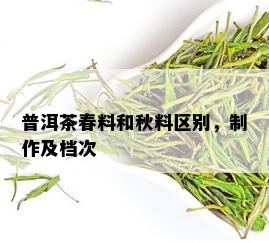 普洱茶春料和秋料区别，制作及档次