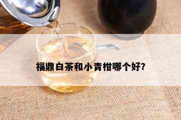 福鼎白茶和小青柑哪个好？