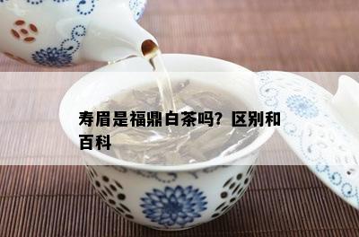 寿眉是福鼎白茶吗？区别和百科