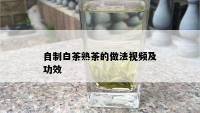 自制白茶熟茶的做法视频及功效