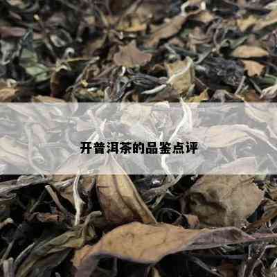 开普洱茶的品鉴点评