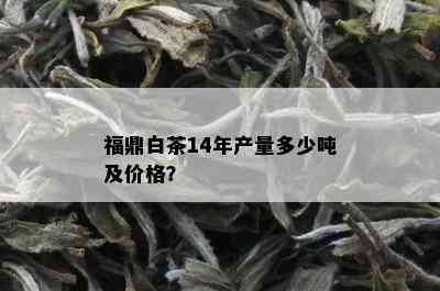 福鼎白茶14年产量多少吨及价格？