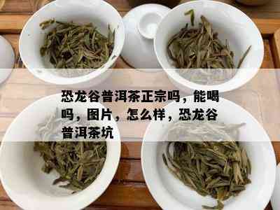 恐龙谷普洱茶正宗吗，能喝吗，图片，怎么样，恐龙谷普洱茶坑