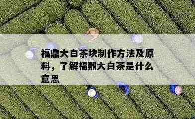 福鼎大白茶块制作方法及原料，了解福鼎大白茶是什么意思