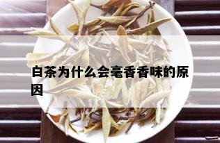 白茶为什么会毫香香味的原因