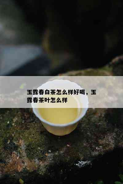 玉露春白茶怎么样好喝，玉露春茶叶怎么样