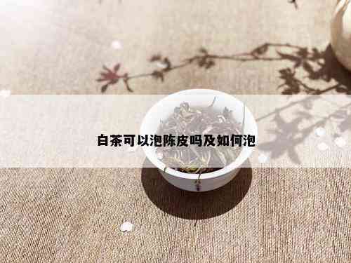 白茶可以泡陈皮吗及如何泡