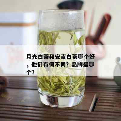 月光白茶和安吉白茶哪个好，他们有何不同？品牌是哪个？