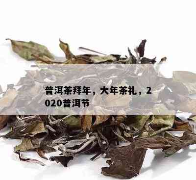 普洱茶拜年，大年茶礼，2020普洱节