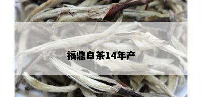 福鼎白茶14年产