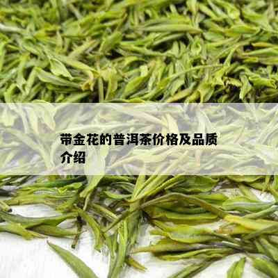 带金花的普洱茶价格及品质介绍