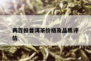 两百担普洱茶价格及品质评估