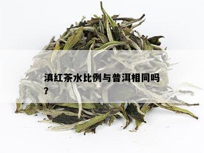 滇红茶水比例与普洱相同吗？