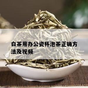 白茶用办公瓷杯泡茶正确方法及视频