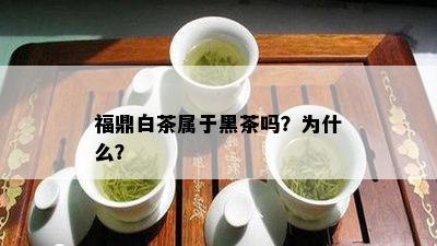 福鼎白茶属于黑茶吗？为什么？