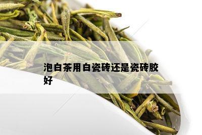 泡白茶用白瓷砖还是瓷砖胶好