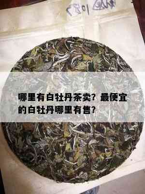 哪里有白牡丹茶卖？更便宜的白牡丹哪里有售？