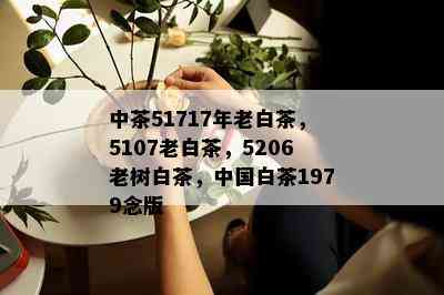 中茶51717年老白茶，5107老白茶，5206老树白茶，中国白茶1979念版