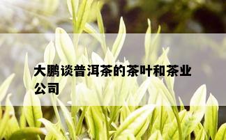 大鹏谈普洱茶的茶叶和茶业公司