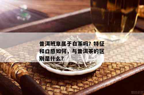 普洱班章属于白茶吗？特征和口感如何，与普洱茶的区别是什么？