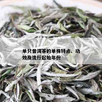 单只普洱茶的单株特点、功效及流行起始年份