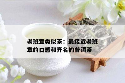 老班章类似茶：最接近老班章的口感和齐名的普洱茶