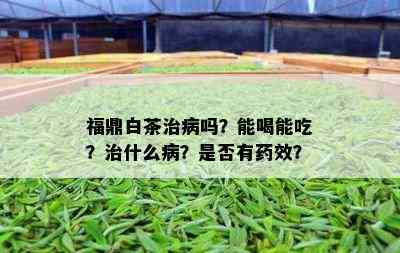 福鼎白茶治病吗？能喝能吃？治什么病？是否有效？