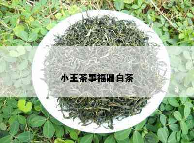 小王茶事福鼎白茶