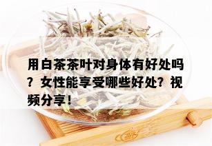 用白茶茶叶对身体有好处吗？女性能享受哪些好处？视频分享！