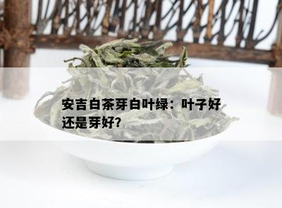 安吉白茶芽白叶绿：叶子好还是芽好？