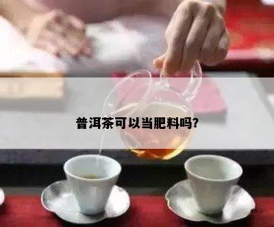 普洱茶可以当肥料吗？