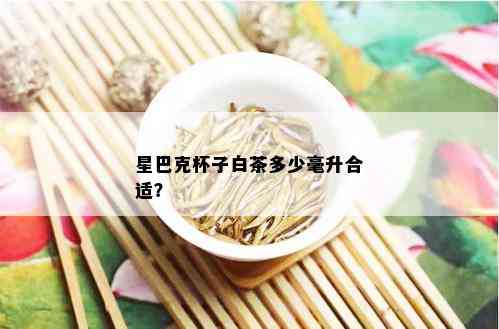 星巴克杯子白茶多少毫升合适？